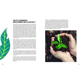 Du végétal dans ma maison pour zéro euro