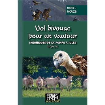 Vol bivouac pour un Vautour