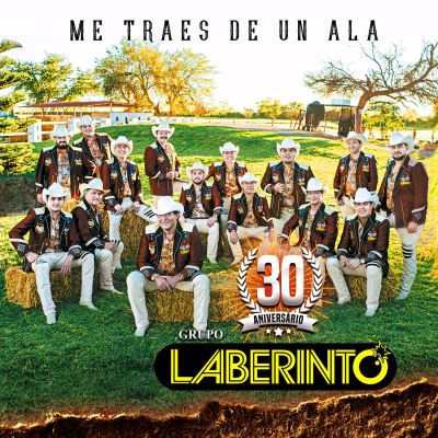 Me Traes De Un Ala