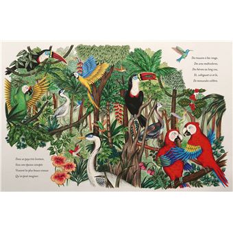 La légende du colibri