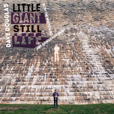LITTLE GIANT STILL LIFE