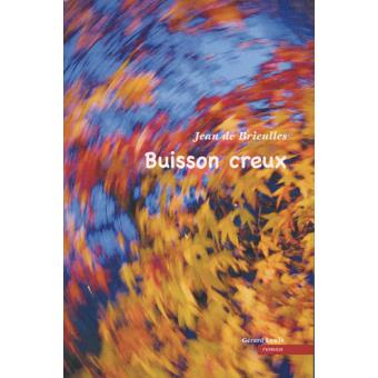 Buisson creux