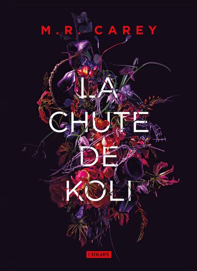 La chute de koli - Mike Carey - broché