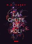 La chute de Koli