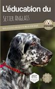 L'éducation du Setter Anglais