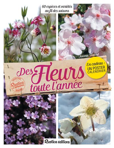 Des fleurs toute l'année - Noémie Vialard - broché