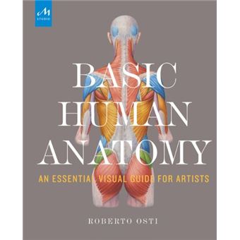 Basic Human Anatomy