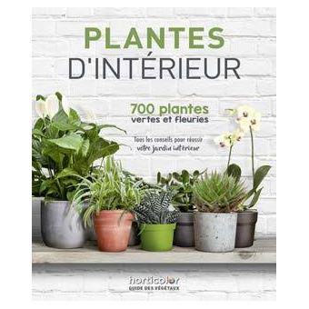 Plantes d'intérieur