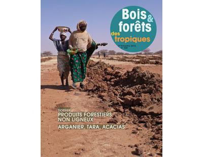 Bois et forets des tropiques n 304 2eme trimestre 2010 doss