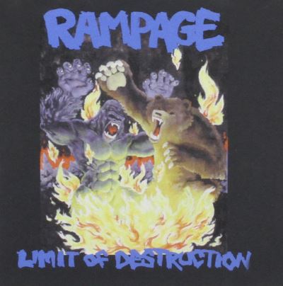 Limit of destruction