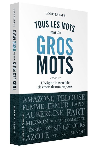 Tous les mots sont des gros mots - LOUIS LE PAPE - broché