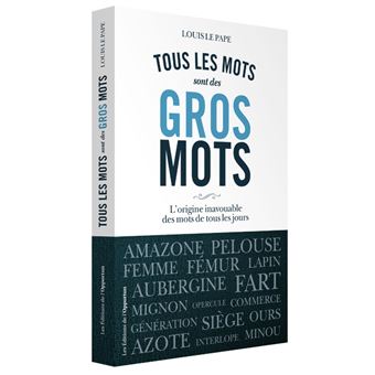Tous les mots sont des gros mots