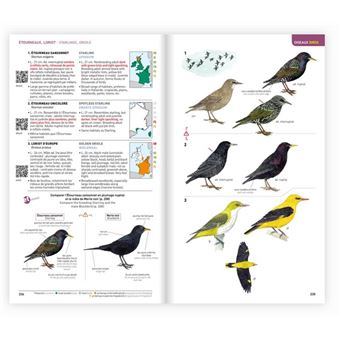 Identifier les animaux