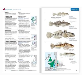 Identifier les animaux