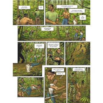 Le Gorille au dos argenté