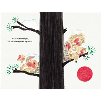 Que font les petits singes ?