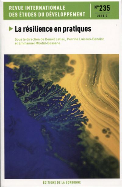 La résilience en pratique - Benoît Lallau - broché