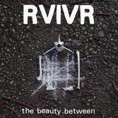BEAUTY BETWEEN