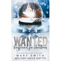 Wanted: Boyfriend for Christmas