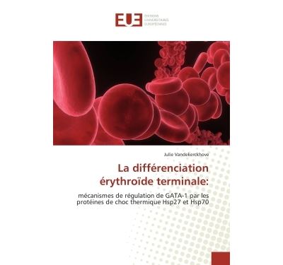 La differenciation erythroide  terminale: