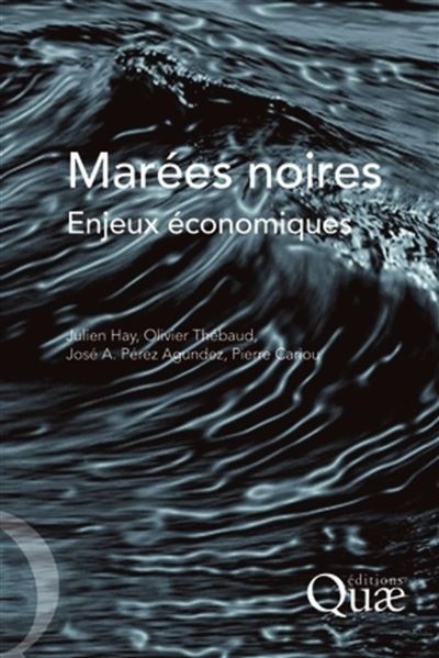 Marées noires, enjeux économiques