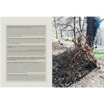 L'école de la forêt