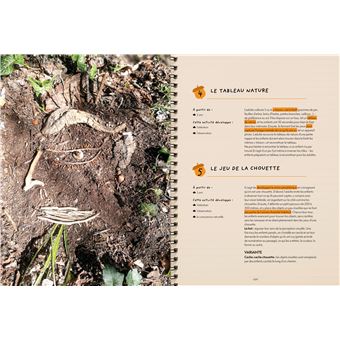 L'école de la forêt