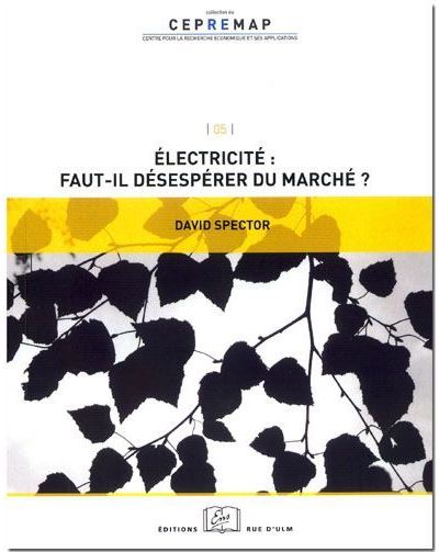 Electricite:Faut-Il Desesperer du Marche ?