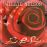 First Rose of Spring - CD_0