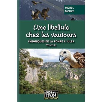 Une libellule chez les Vautours