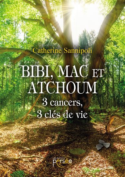 Bibi, Mac et Atchoum