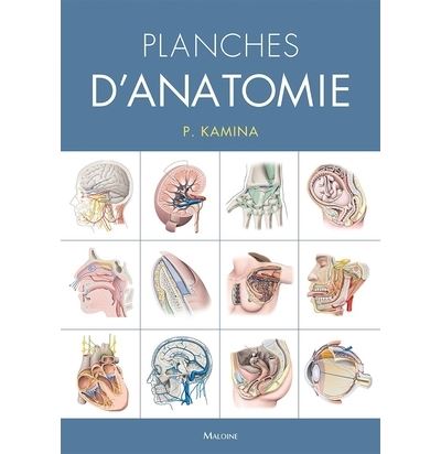 Planches d'anatomie