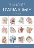 Planches d'anatomie humaine. 31 planches. Reliure a spirale