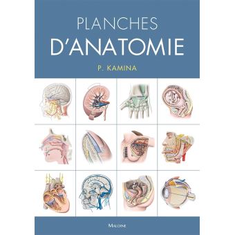Planches d'anatomie humaine. 31 planches. Reliure a spirale