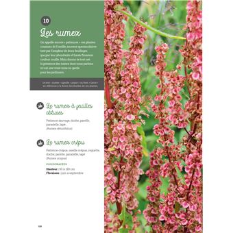 Vivre avec les mauvaises herbes