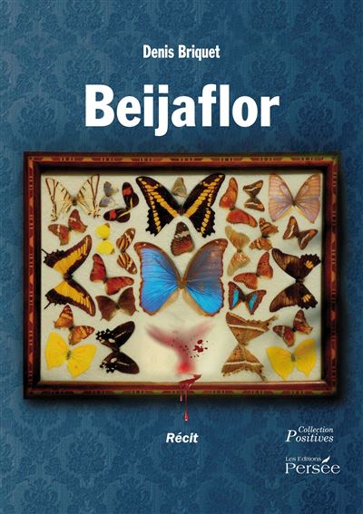 Beijaflor - Denis Briquet - broché