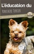L'éducation du Yorkshire Terrier