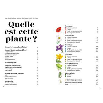 Quelle est cette plante ?