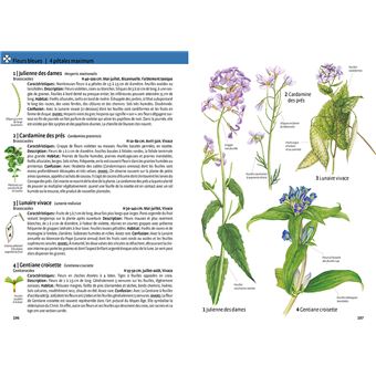Quelle est cette plante ?