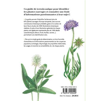 Quelle est cette plante ?