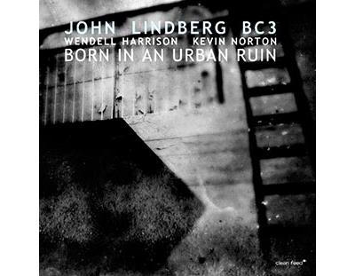 Born in an urban ruin