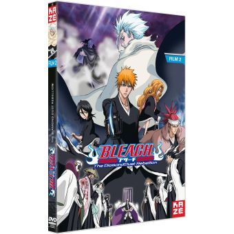 Bleach Le Film 2 : The Diamond Dust Rebellion DVD - DVD Zone 2 - Achat ...