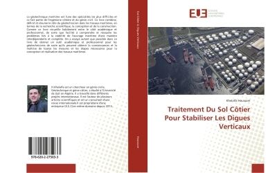 Traitement du sol cotier pour stabiliser les digues verticau