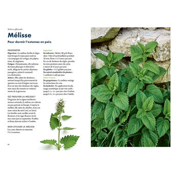 Se soigner par les plantes