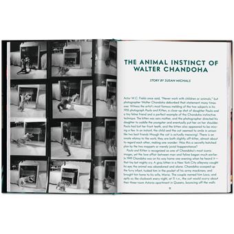 Walter Chandoha. Cats. Photographs 1942–2018