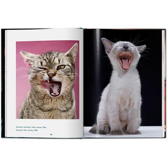 Walter Chandoha. Cats. Photographs 1942–2018