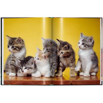 Walter Chandoha. Cats. Photographs 1942–2018