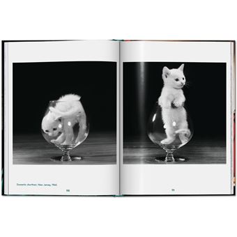 Walter Chandoha. Cats. Photographs 1942–2018