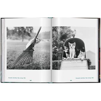 Walter Chandoha. Cats. Photographs 1942–2018