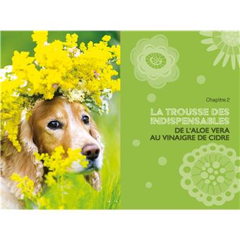 La bible des traitements naturels du chien